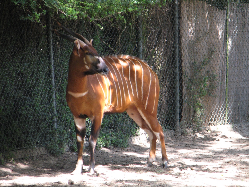 20100206 487.JPG